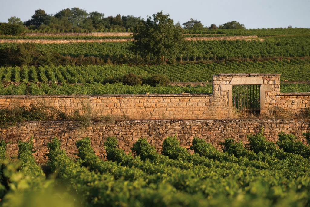 Au cœur de l’appellation Pommard premier cru « Les Pézerolles », l’ancien clos des Pézerolles donne des vins fins et féminins, proches des volnays. Son nom viendrait de l’ancien français Poizerolles qui signifiait « pois-chiche » car on cultivait probablement ce légume à côté de la vigne à l’époque médiévale.