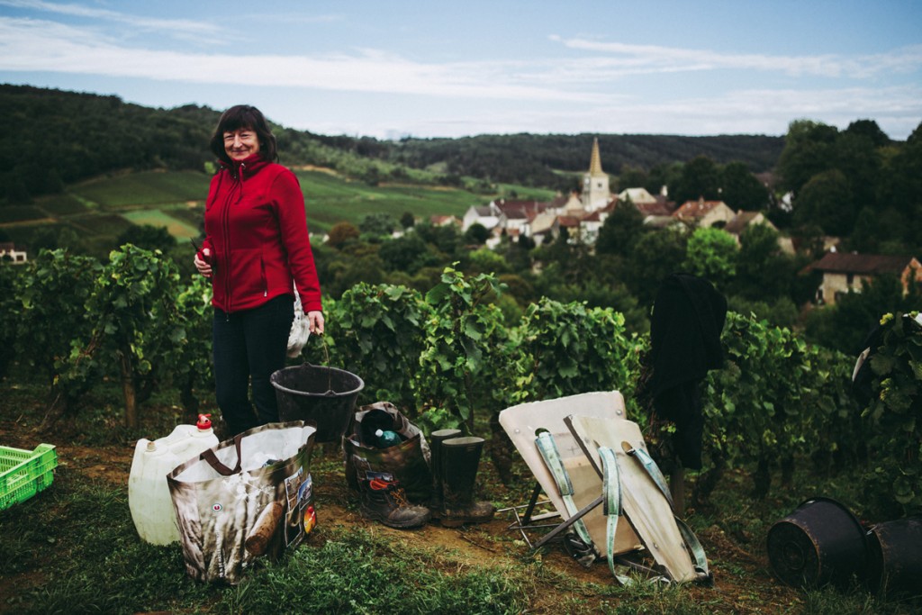 Pernandaise de cœur, Julie Steele participe toujours aux vendanges sur sa commune, même si cette année son dos lui a dicté de les faire à la table de tri de la cuverie plutôt que dans les rangs de vignes